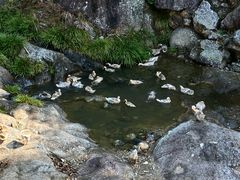 -林坑古村落