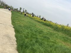 -瑶湖郊野森林公园