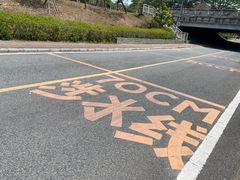 -大亚湾红树林城市湿地公园