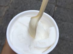 -洪馨椰子