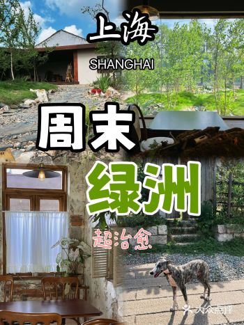 在这里过周末下午超治愈