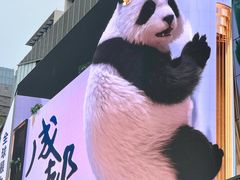 -合景·悠方(成都店)