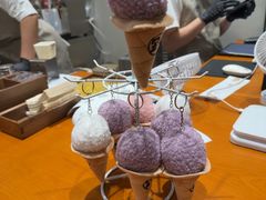-野人先生现做冰淇淋(北京环宇荟店)