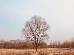 -东郊湿地公园