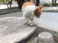 -航天馒头(瞻园路店)