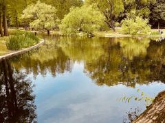 -上海共青森林公园