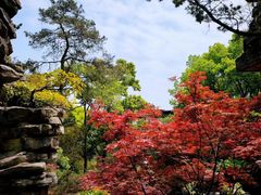 -南山植物园