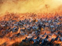 -罗红摄影艺术馆