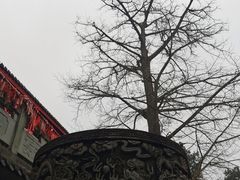 -金堂县云顶石城风景区