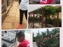 -意大利农场度假村