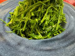 -上海圣淘沙万怡酒店