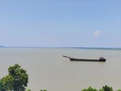 -巴陵全鱼席(湖南老字号汴河街店 )