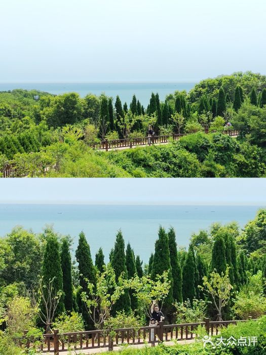 大连金石滩滨海国家地质公园图片