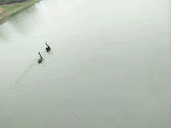 -瑶湖郊野森林公园