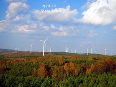 -塞罕坝国家级自然保护区