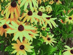 -南京市无想山景区