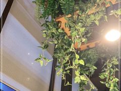 -陶苏·品味融合川菜(龙湖源著天街店)