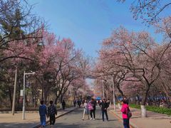 -吉林大学(南岭校区)