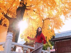 -上海青龙寺