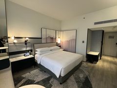 -新加坡乌节希尔顿酒店 (SG Clean)