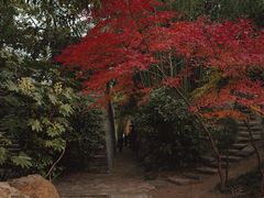 -水绘园
