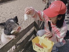 -前小桔亲子创意农场·草莓采摘·露营烧烤