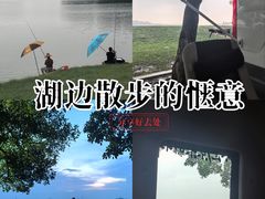 -仙湖旅游度假区