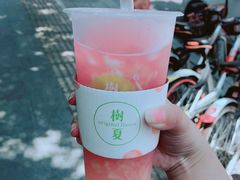 -树夏(建设路店)