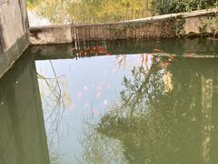 -大宁公园