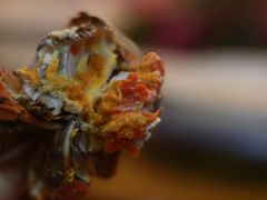 -呼吸森林·生态农庄农家乐私房菜