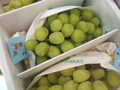 -沈阳市八家子水果批发市场