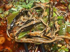 -乐山第一家临江鳝丝(茶坊路店)