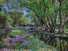 -上海共青森林公园