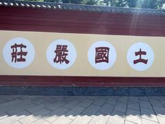 -洛阳白马寺