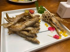 初恋小刀鱼-赵小姐丨新中餐(曲江店)