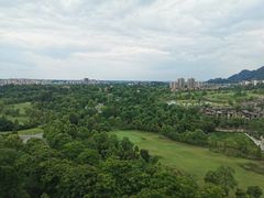 -成都蒲江花样年福朋喜来登度假酒店·宜客乐西餐厅