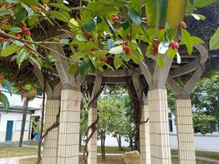 -河海大学(常州校区)