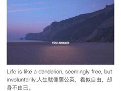 -维吾尔餐厅(宜山路店)