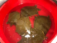 -青石桥市场北1-27号