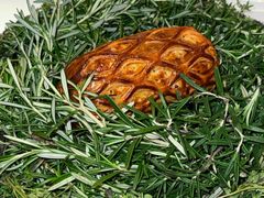 -Le Bistrot de Racine