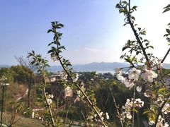 -东钱湖旅游度假区