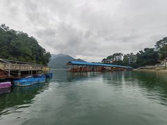 -广州市流溪河国家森林公园