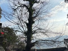 -大慈岩风景区