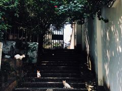 -厦门鸿山寺
