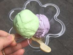 -成裕雪糕店(士多店)
