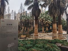 -苏州河梦清园环保主题公园