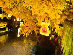 -横店影视城梦幻谷园区