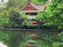 -井之头恩赐公园