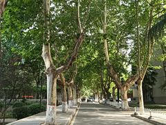 -西安外国语大学(雁塔校区)