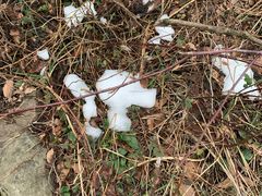 -兰庆鸡蛋馃(人民路店)